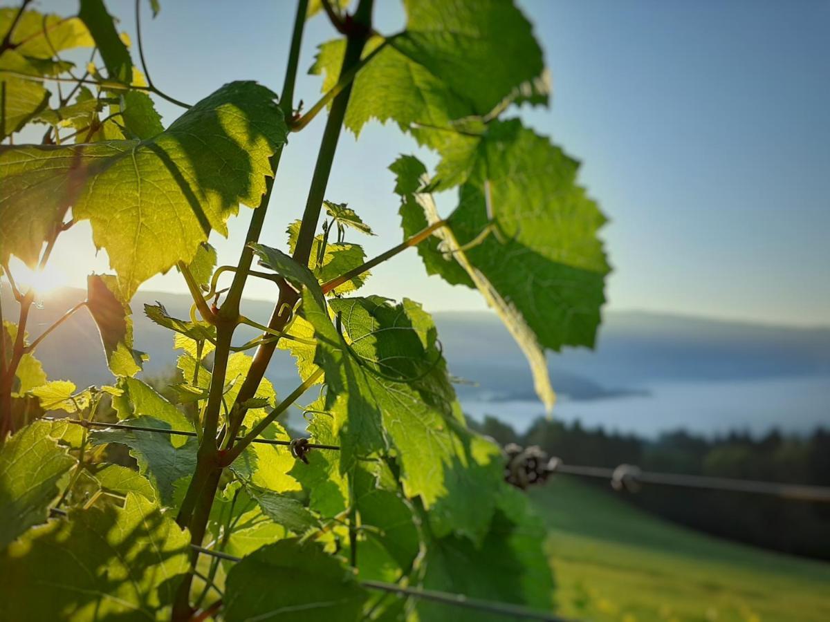 Auszeit Am Weinhof Leilighet Loschental Eksteriør bilde
